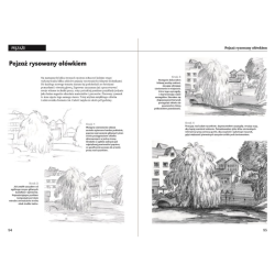 Drawing and illustration course by Peter Gray