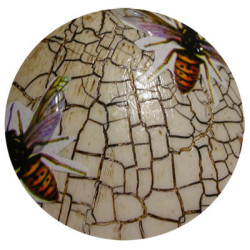 Classic cracle varnich 100ml - szal art - sklep plastyczny