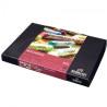 Talens rembrandt soft pastels portrait selection 30 colors