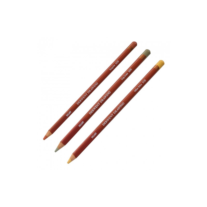 Artistic pencil drawing Derwent Drawing