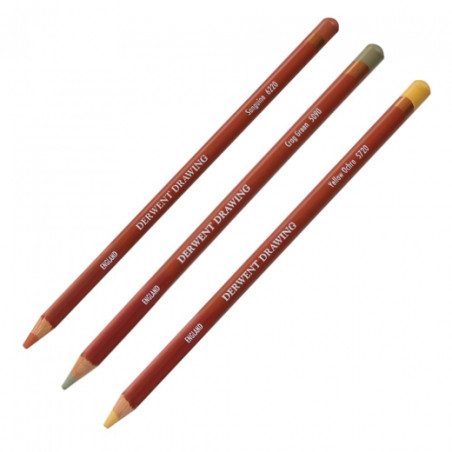 Artistic pencil drawing Derwent Drawing