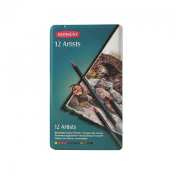 Derwent crayons artists 12 pieces