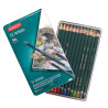 Derwent crayons artists 12 pieces