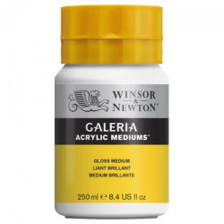 Winsor&Newton galeria gloss medium 250ml