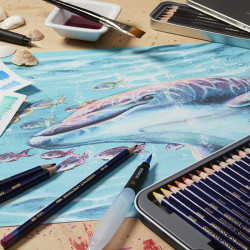 Derwent inktense ink in pencil 24 colors