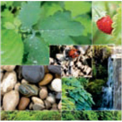 Serwetka do decoupage SLOG 0174 01 - sklep plastyczny - szał dla plast