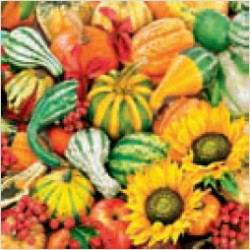 Decoupage Napkin pumpkins 8-SLOG 0120 01