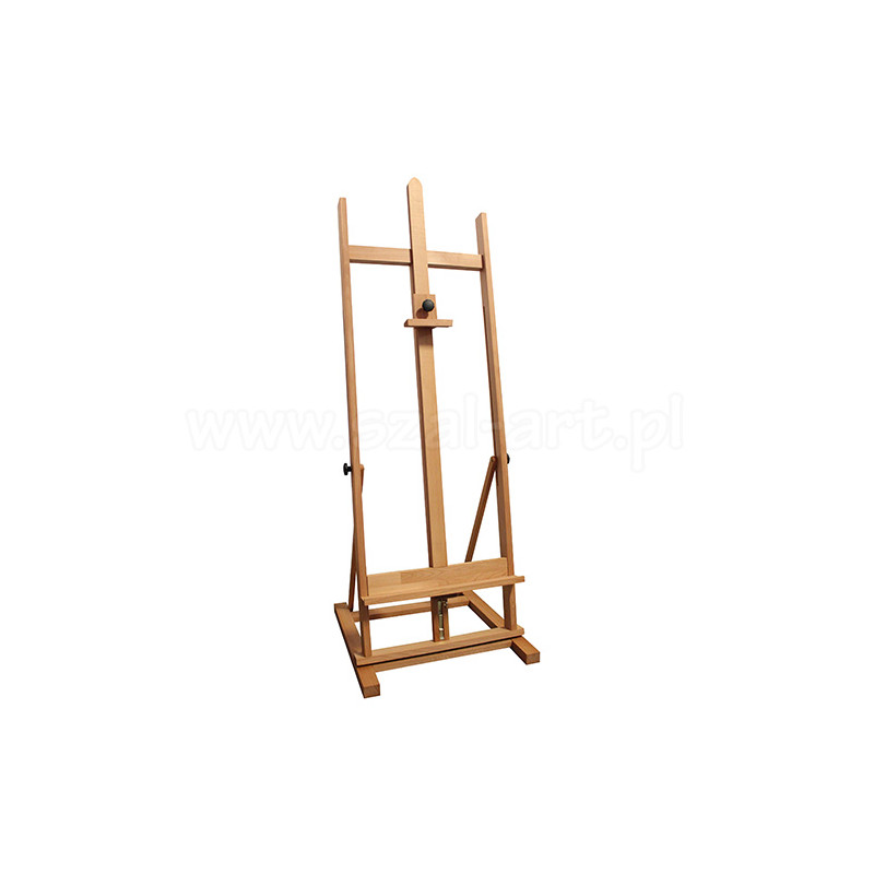 Sztaluga studyjna bukowa pablo