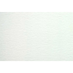 Daler Rowney papier akwarelowy aquafine smooth 300g 10ark 50x70cm - sk