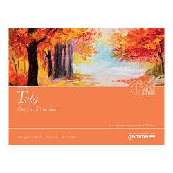 Blok Gamma tela 300g 10ark