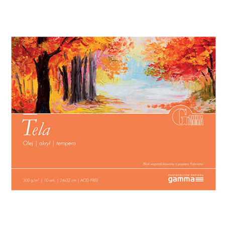 Blok Gamma tela 300g 10ark