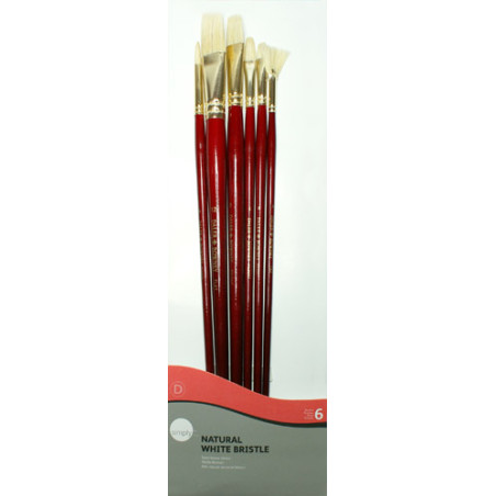 Set of 6 bristle brushes Simply Daler Rowney - art store S