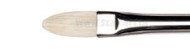 Winsor&Newton pędzle artists hog seria long filbert
