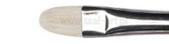Winsor&Newton artists hog brushes short filbert series