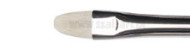 Winsor&Newton artists hog brushes short filbert series