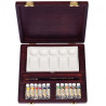 Rembrandt set of watercolor 12 tubes wooden case