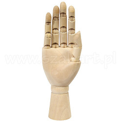 Model of the right hand 25cm - art store - craze for artists
