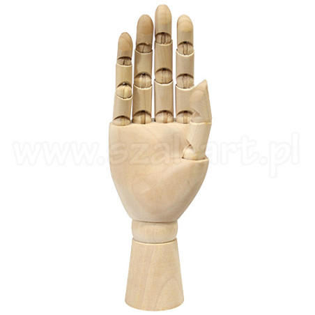 Model of the right hand 25cm - art store - craze for artists