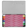Cretacolor carmine set of 12 artistic crayons
