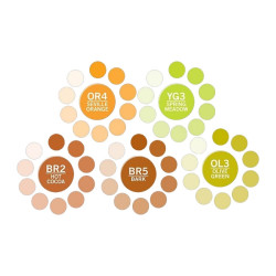 Chameleon earth tones set of 5 markers