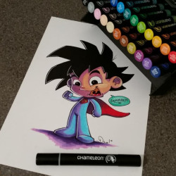 Chameleon deluxe set of 22 markers