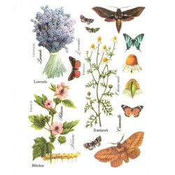 Rice decoupage paper butterflies flowers A4 ITD R404