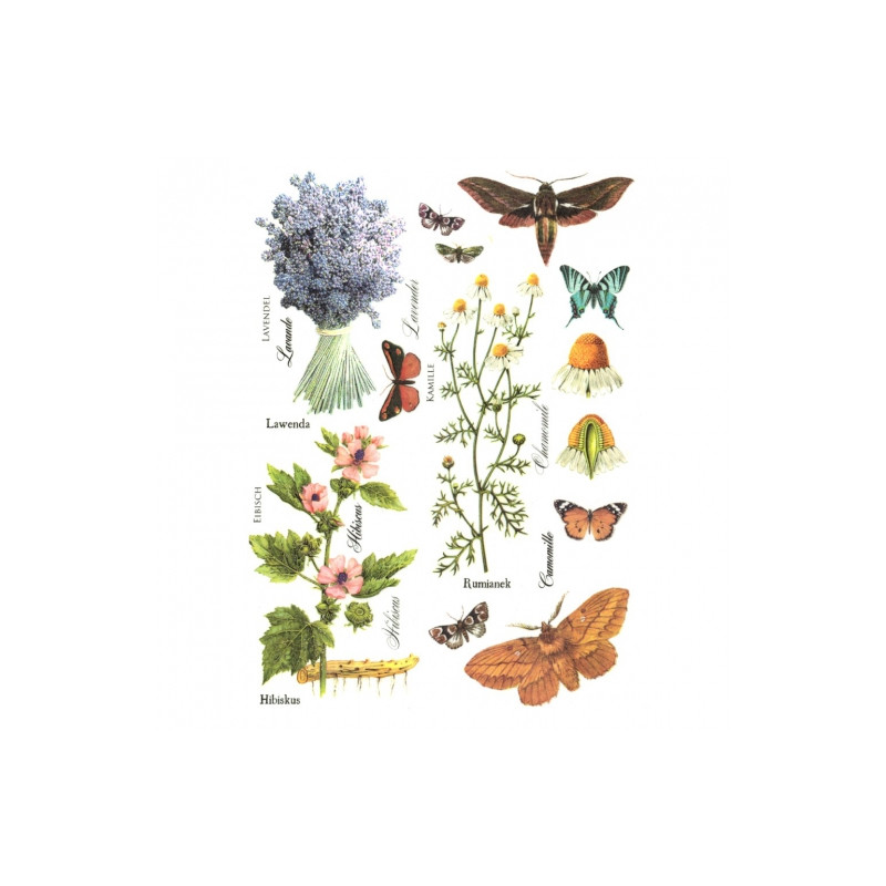 Papier ryżowy do decoupage kwiaty motyle A4 ITD R404 - sklep plastyczn