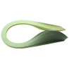 Quilling Paper shaded Green  3, 5, 10 mm