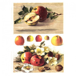 Rice decoupage paper apple fruit A4 ITD R433