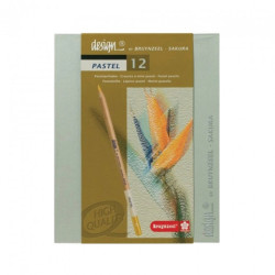 Bruynzeel pastel pastels set in a crayon 12 pieces