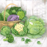 Decoupage Napkin Ambiente 27-13308700 cabbage - szal art - sklep plast