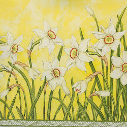 Decoupage napkins narcissus12-SLWI 001502