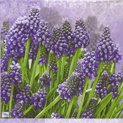 Napkin for decoupage Daisy 3-007801 flowers