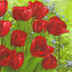 Napkin for decoupage Daisy 7-002601 flowers