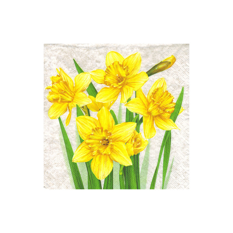 Serwetka do decoupage Daisy 10-003901 narcyz - sklep plastyczny - szał