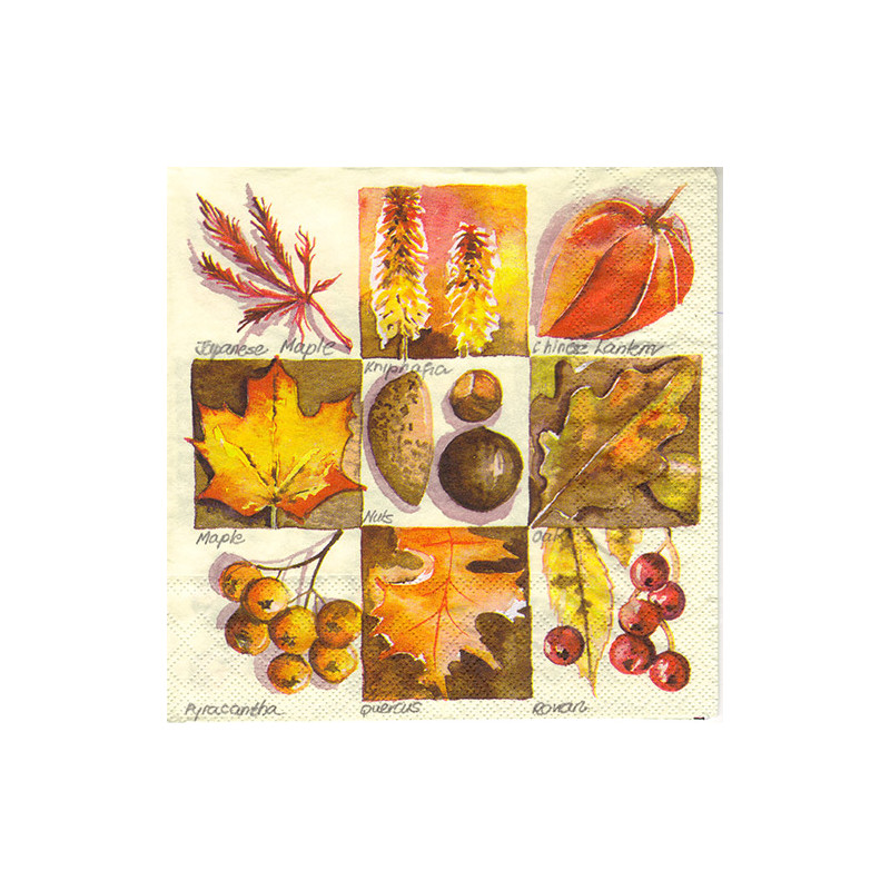 Decoupage Napkin Ambiente 31-13307365 autumn square - szal art - sklep