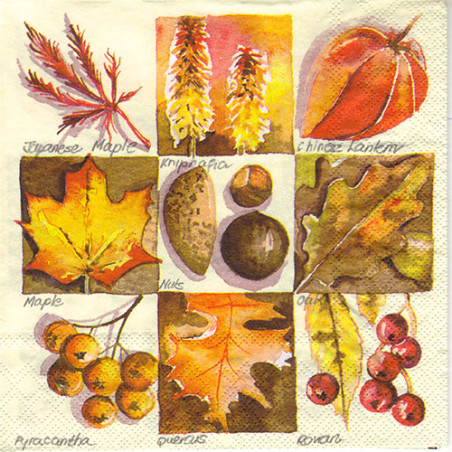 Decoupage Napkin Ambiente 31-13307365 autumn square - szal art - sklep