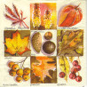 Decoupage Napkin Ambiente 31-13307365 autumn square - szal art - sklep