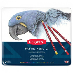 Derwent pastel pastels set in a crayon 24 colors