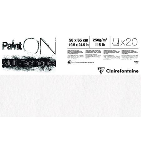 Clairefontaine paint on white 50x65 250g 20 sheets