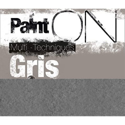 Clairefontaine paint on gris 50x65 250g 15 sheets