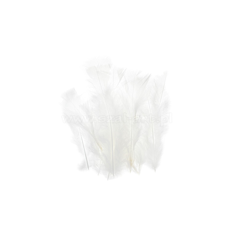 Decorative feather 12cm white - szal art - sklep plastyczny