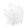 Decorative feather 12cm white - szal art - sklep plastyczny