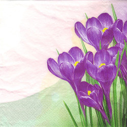 Serwetka do decoupage Daisy 29-003401 kwiaty - sklep plastyczny - szał