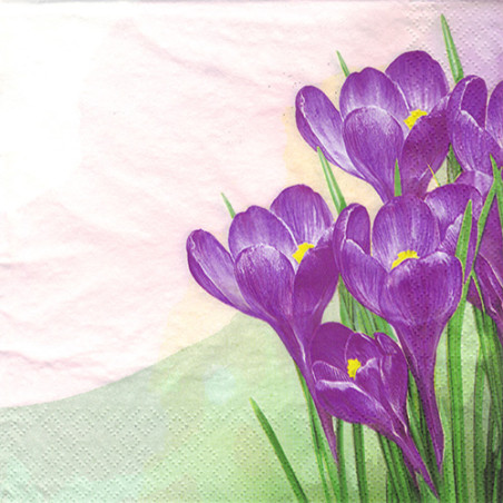 Napkin for decoupage Daisy 29-003401 flowers