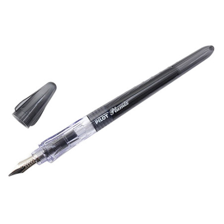 Pilot plumix pen for calligraphy