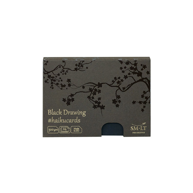 Haiku SM-LT black drawing kartki w pudełku 300g 24ark - sklep plastycz