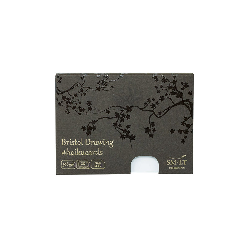 Haiku SM-LT bristol drawing paper in a box 308g 20ark