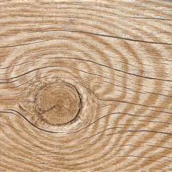 Serwetka do decoupage Maki 29-039801 sęk - sklep plastyczny - szał dla