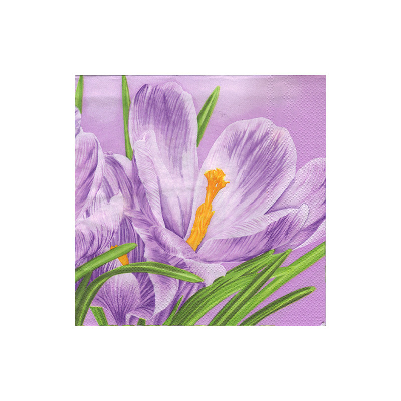 Serwetka do decoupage Maki 7-004101 krokus - sklep plastyczny - szał d